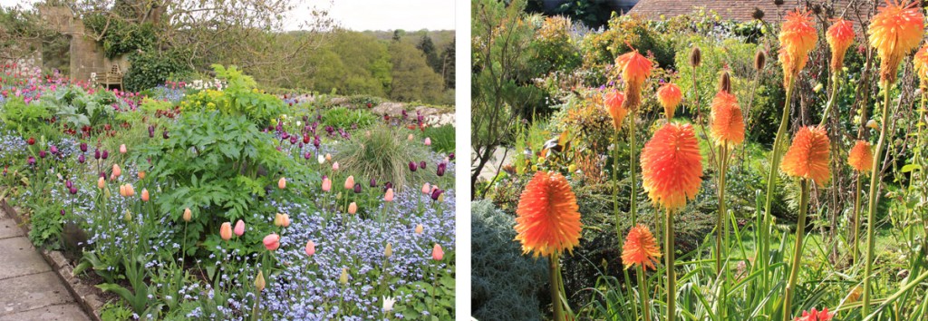 body_one_year_diploma_course_good_gardening