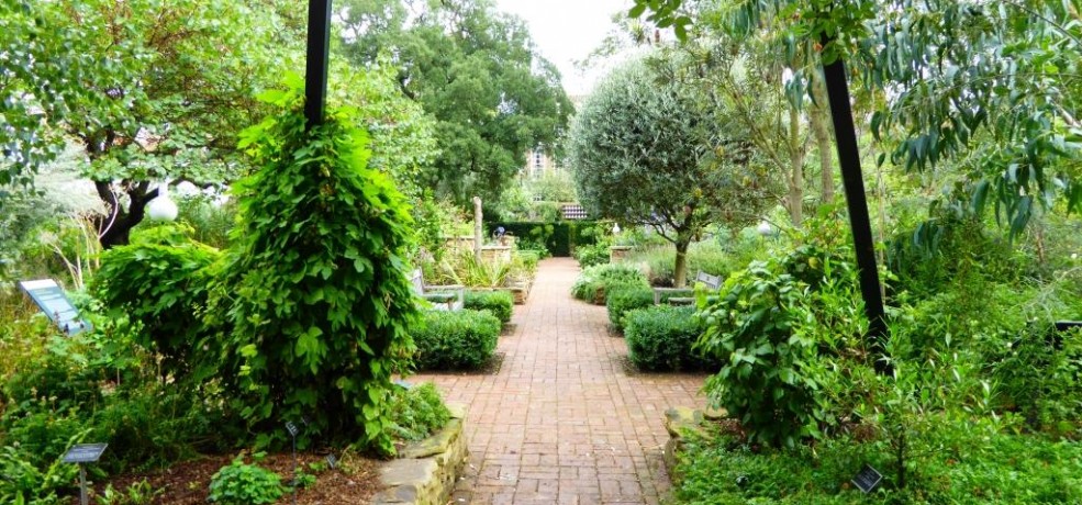The English Gardening School, What Is The Best Garden Design Course Uk