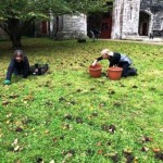 2022 EGS students Arundel Castle Gardens Autumn 2021