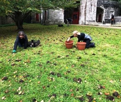 2022 EGS students Arundel Castle Gardens Autumn 2021