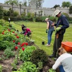 2022 Practical day at Arundel Castle Gardens