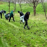 2023 Autumn at Arundel Castle Garden planting bulbs