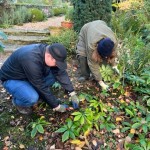 2023 Planting bulbs at Arundel Castle Garden