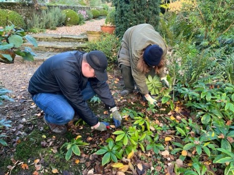 2023 Planting bulbs at Arundel Castle Garden