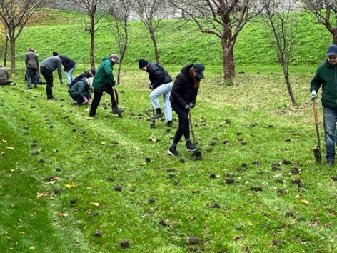 2023 Autumn at Arundel Castle Garden planting bulbs