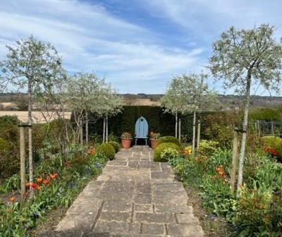 Summer border