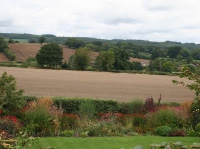 Grasses border