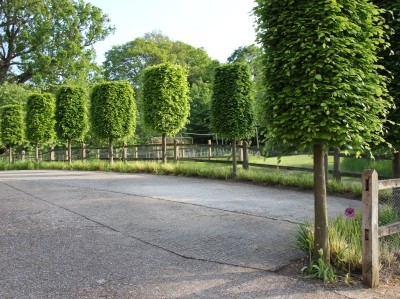 Forecourt