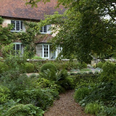 Woodland garden