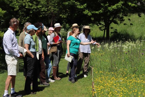 OYGG students inspecting their bulb planting in the meadows at Arundel Castle in May 2025