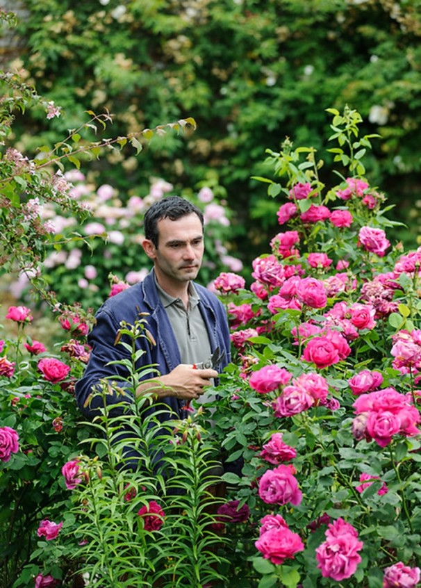 img-3dfd9695-5869-410f-9edc-e08b0236d0e7