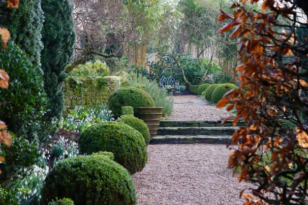 Snowdrops at Sandhill Farm House