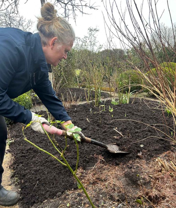 Tina mulching the rose borders at Sandhill Farm House