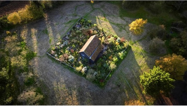 Image 20-03-2026 at 17.35