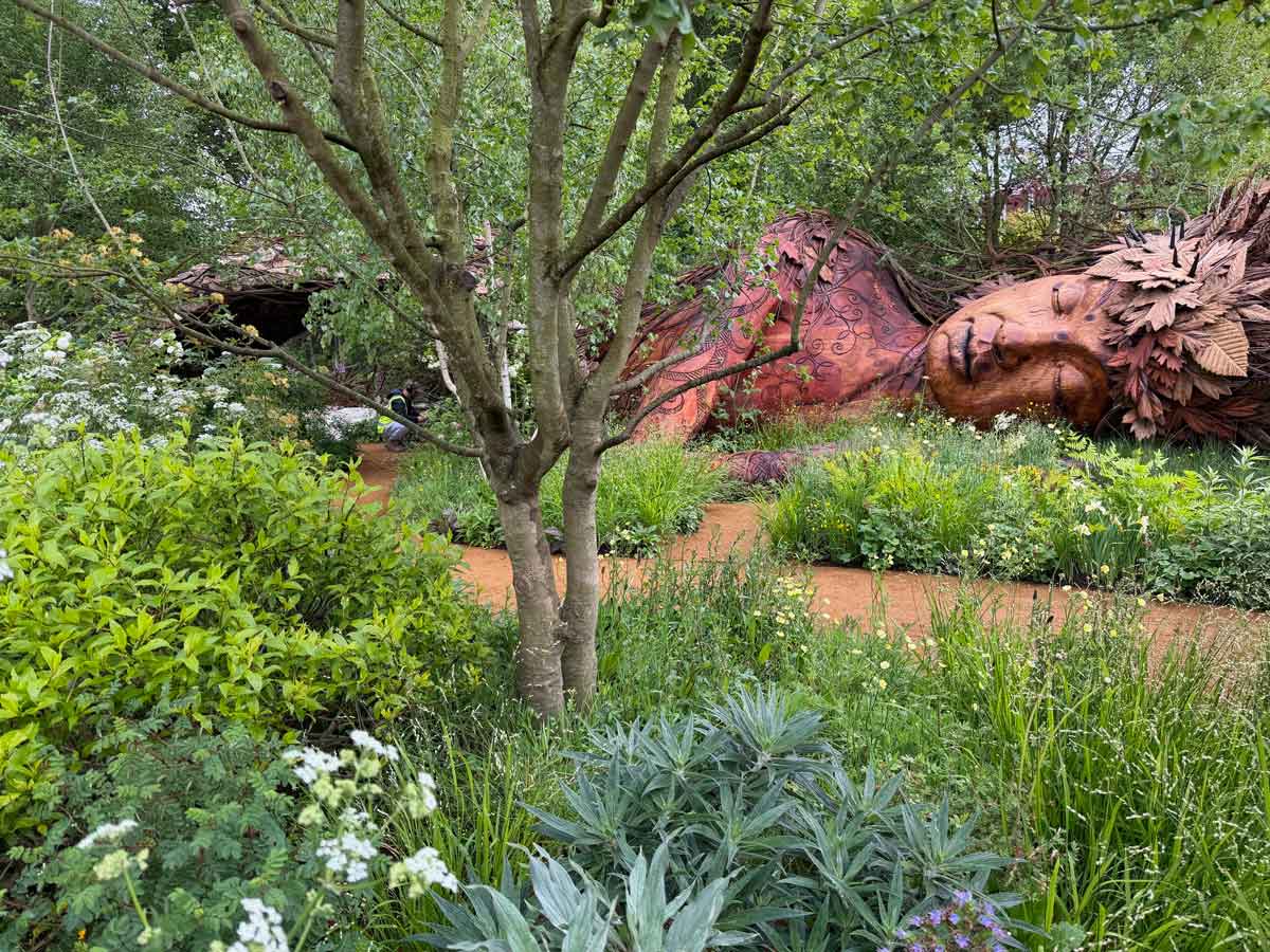On the Edge, Sarah Eberle’s Garden of the Year at RHS Chelsea Flower Show 2026